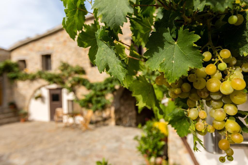 Casa Mauri Villa Tremp Eksteriør bilde